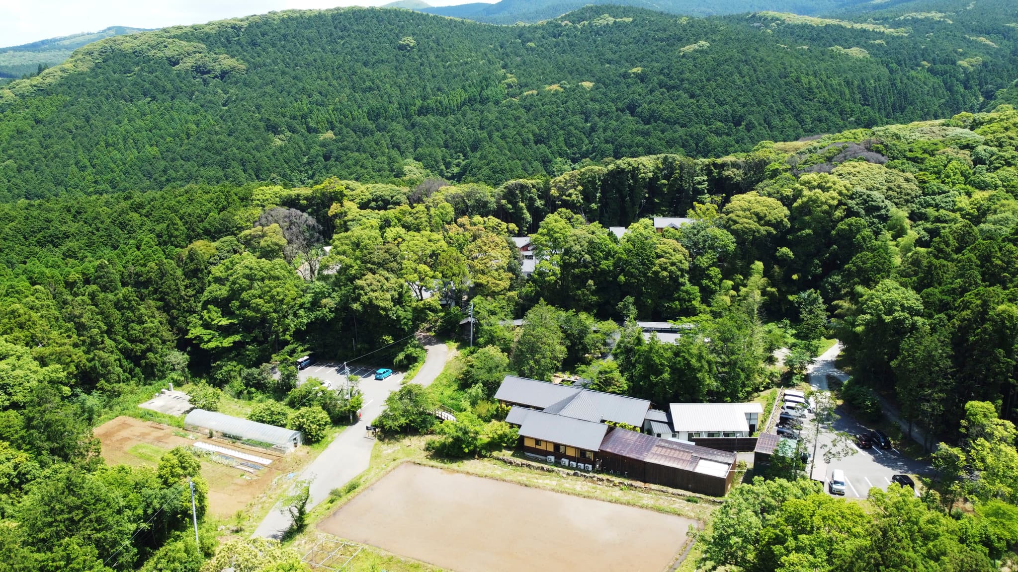 そのぎ茶温泉里山の湯宿 つわぶきの花